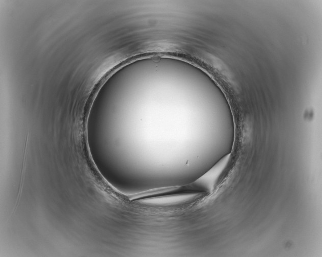 X0000094171073200711020935