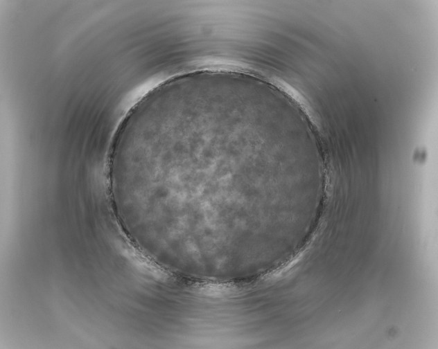 X0000094171074200711020935