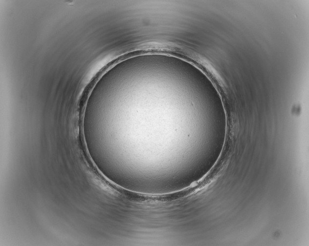 X0000094171075200711020935