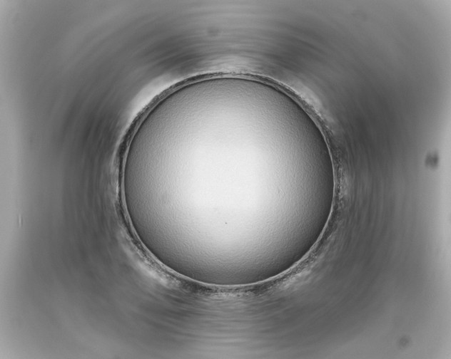 X0000094171078200711020935