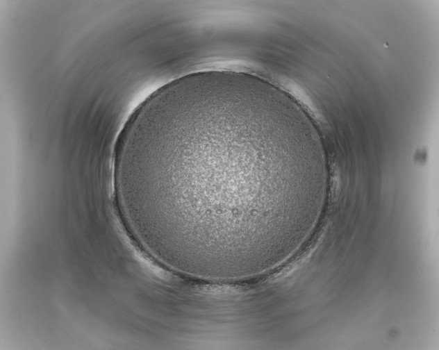 X0000094171079200711020935
