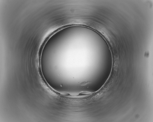 X0000094171080200711020935