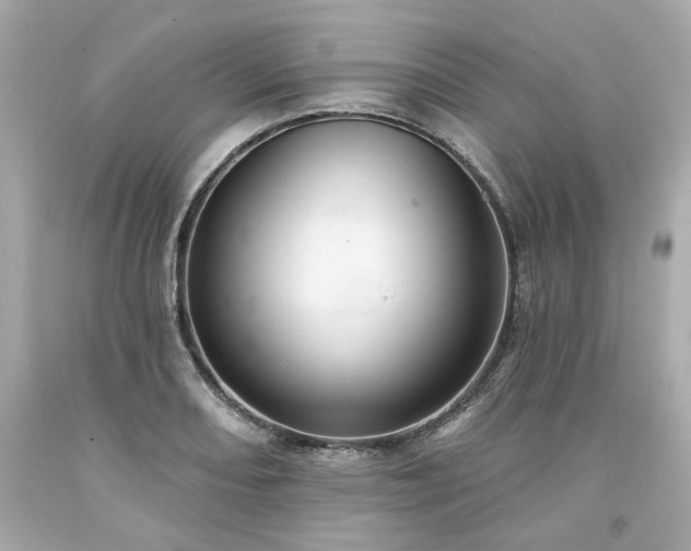 X0000094171082200711020935