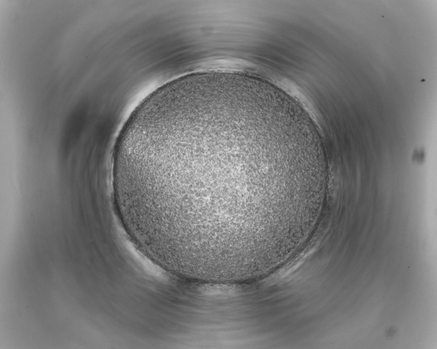 X0000094171083200711020935