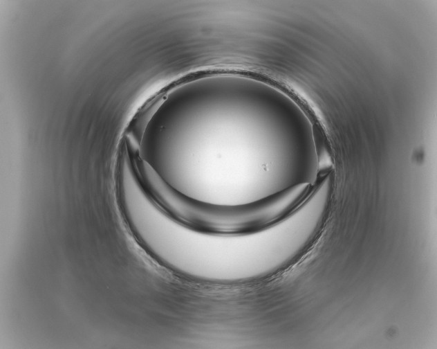 X0000094171085200711020935
