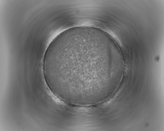 X0000094171086200711020935