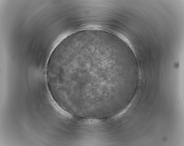 X0000094171090200711020935