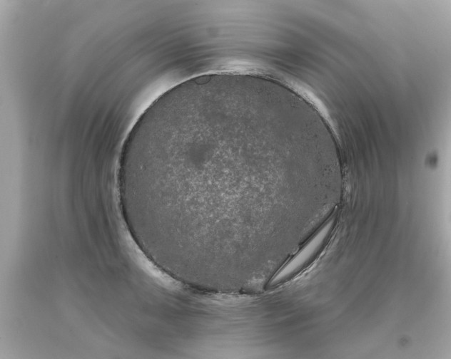 X0000094171091200711020935