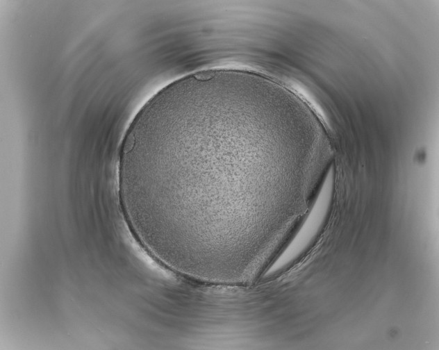 X0000094171092200711020935