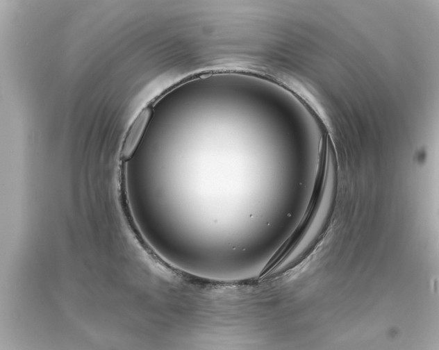 X0000094171093200711020935