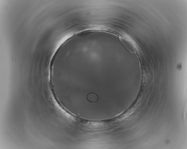 X0000094171095200711020935