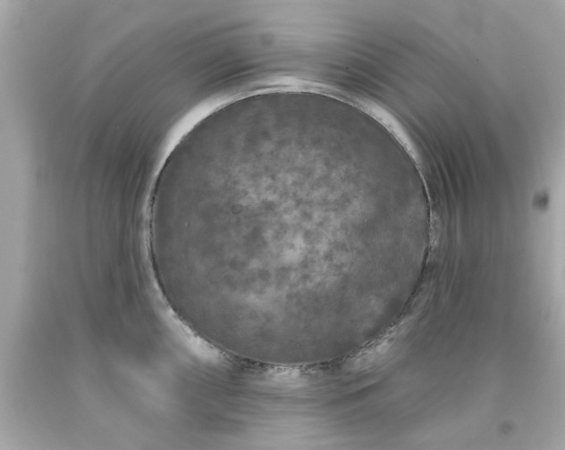 X0000094171098200711020935