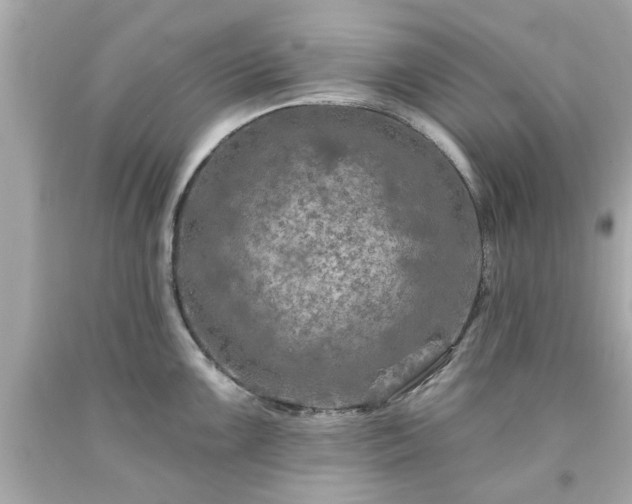 X0000094171099200711020935