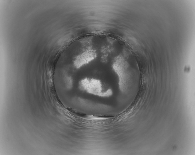 X0000094171106200711020934