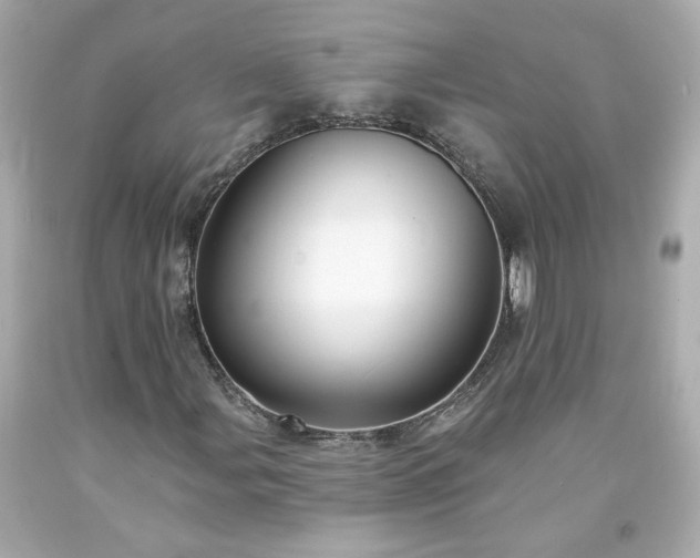 X0000094171107200711020934