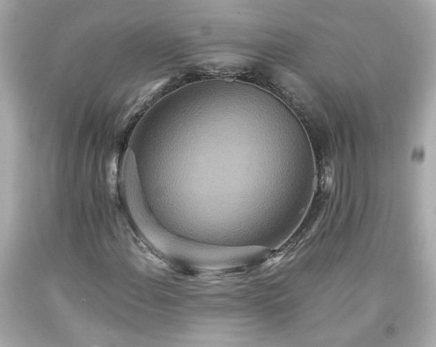 X0000094171108200711020934