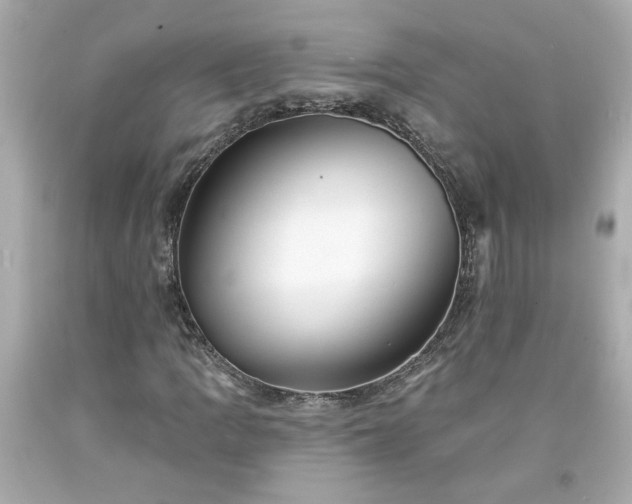 X0000094171109200711020934