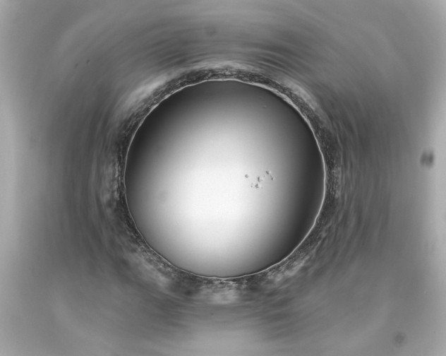 X0000094171111200711020934