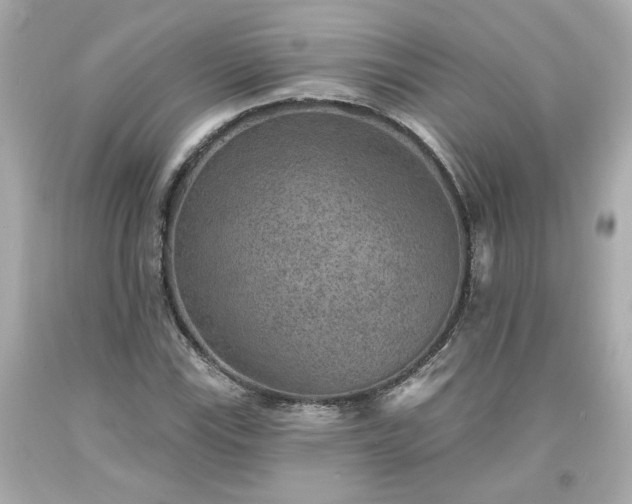 X0000094171115200711020934