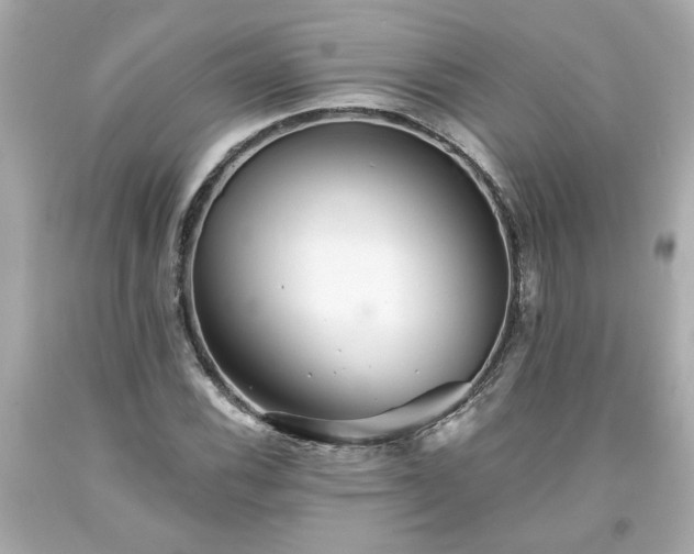 X0000094171116200711020934