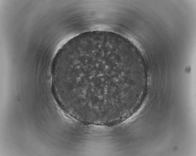X0000094171117200711020934