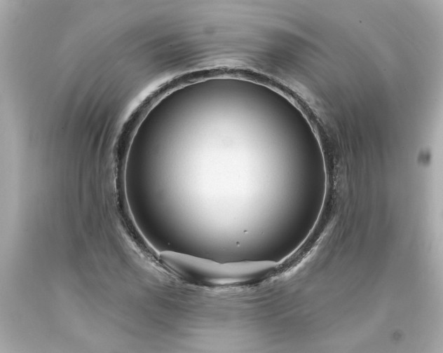X0000094171118200711020935