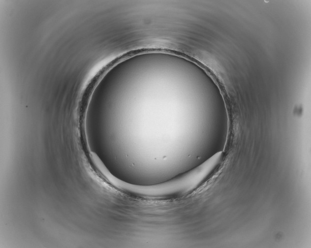 X0000094171120200711020935