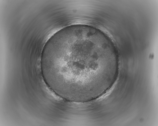 X0000094171121200711020935