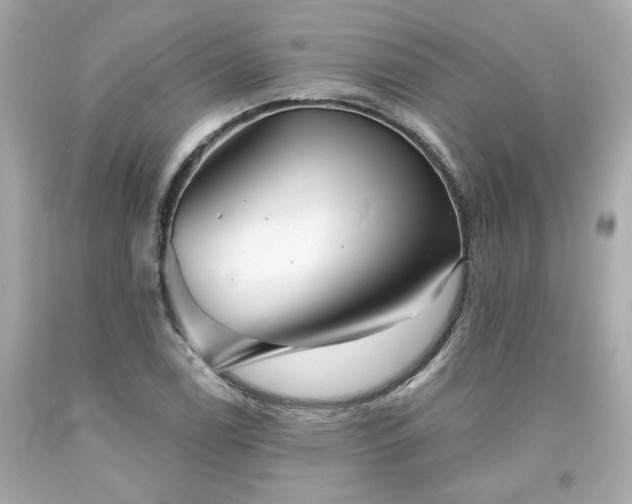 X0000094171122200711020935