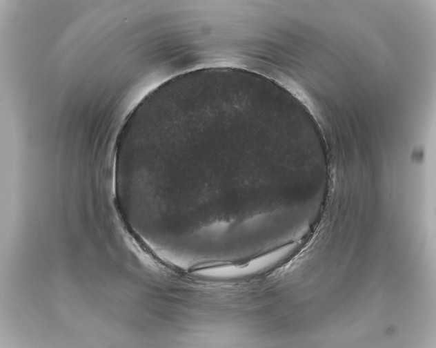 X0000094171127200711020935