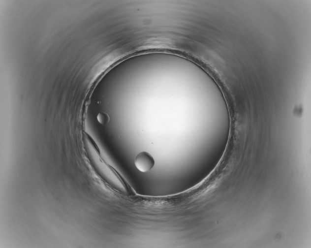 X0000094171129200711020935