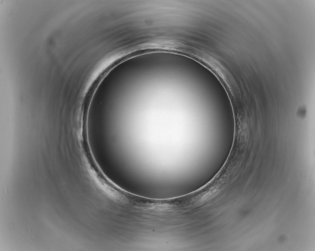 X0000094171131200711020935