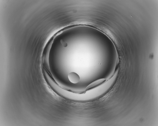 X0000094171132200711020935