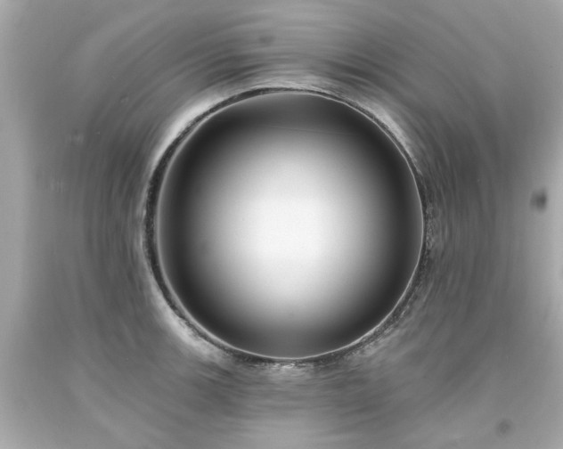 X0000094171139200711020935