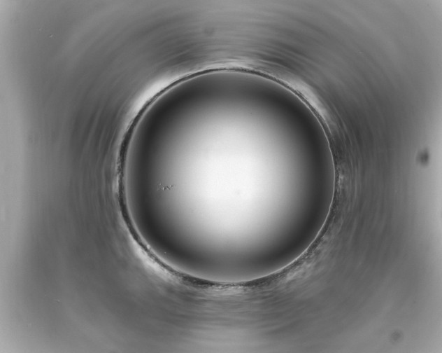 X0000094171143200711020935