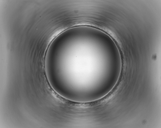 X0000094171145200711020935