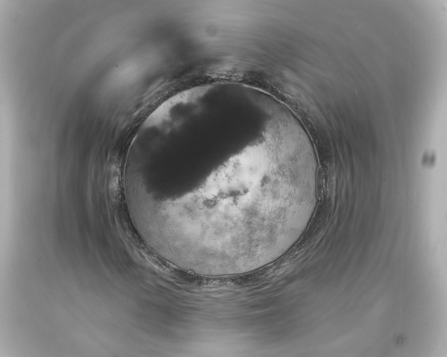 X0000094171154200711020934