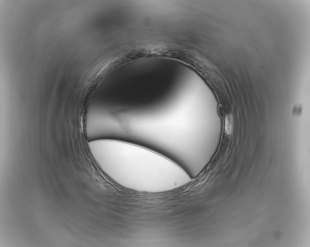 X0000094171155200711020934