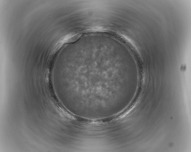 X0000094171161200711020934