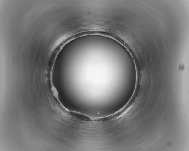 X0000094171163200711020934