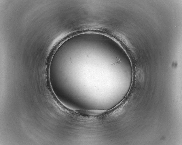 X0000094171164200711020934