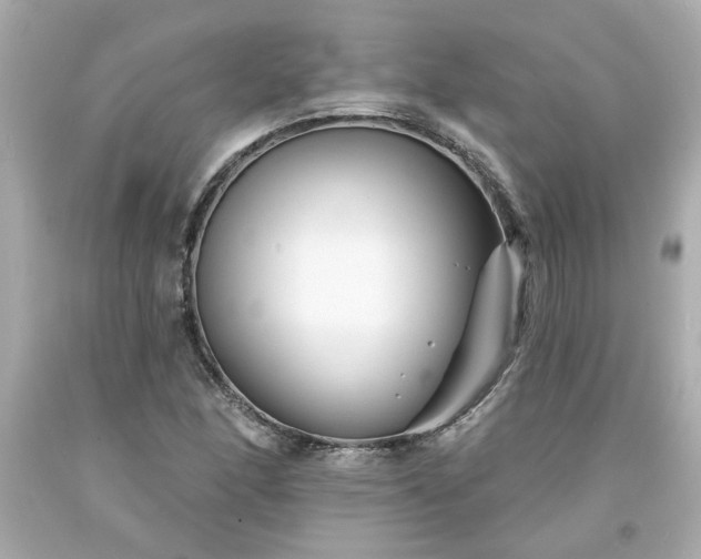 X0000094171166200711020934