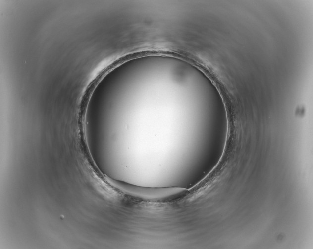 X0000094171168200711020934