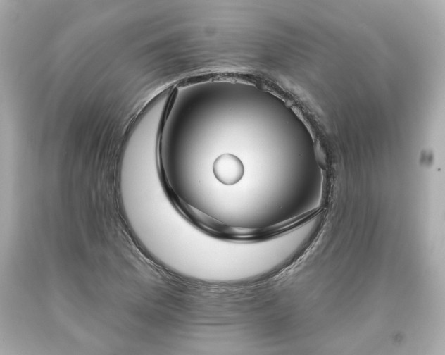 X0000094171169200711020934