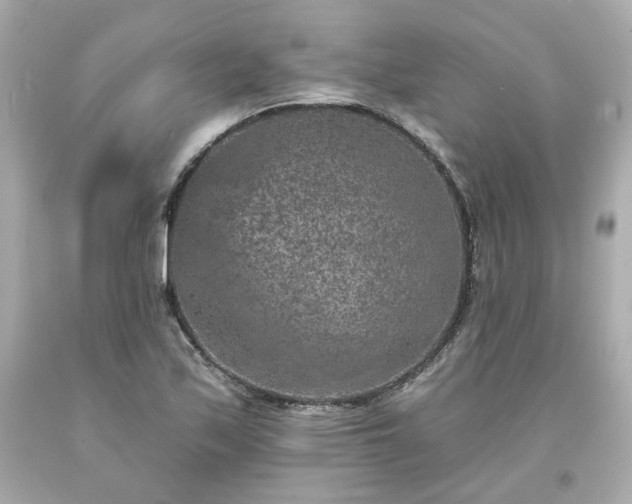 X0000094171171200711020934
