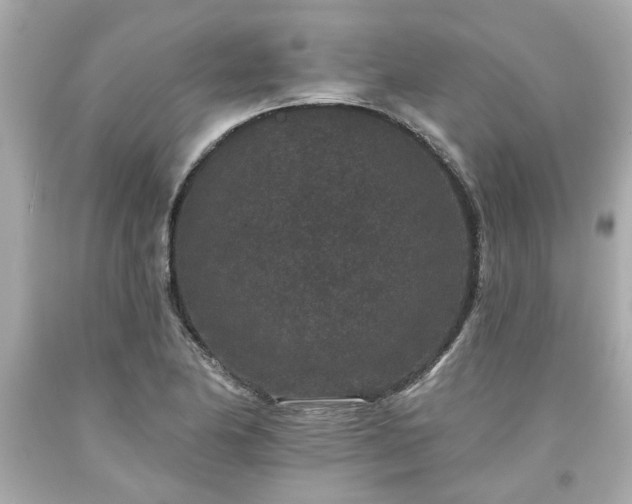 X0000094171174200711020934