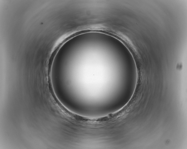X0000094171176200711020934