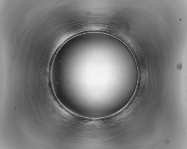 X0000094171178200711020934