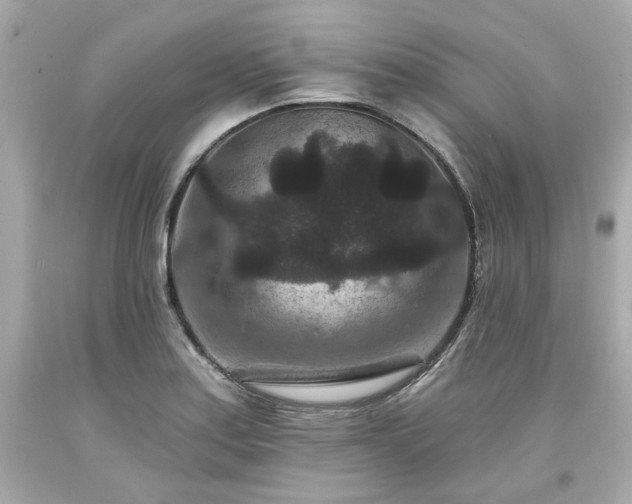 X0000094171179200711020934