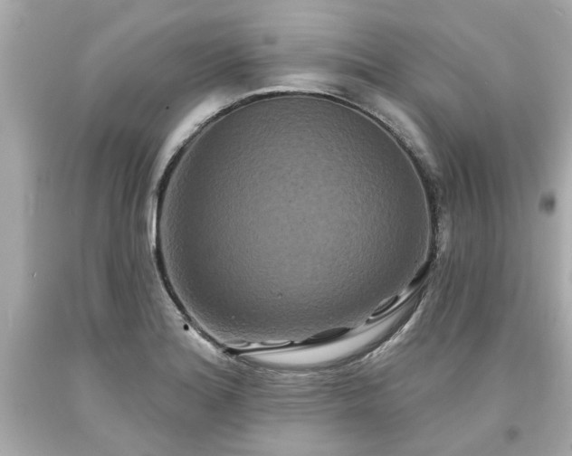 X0000094171180200711020934